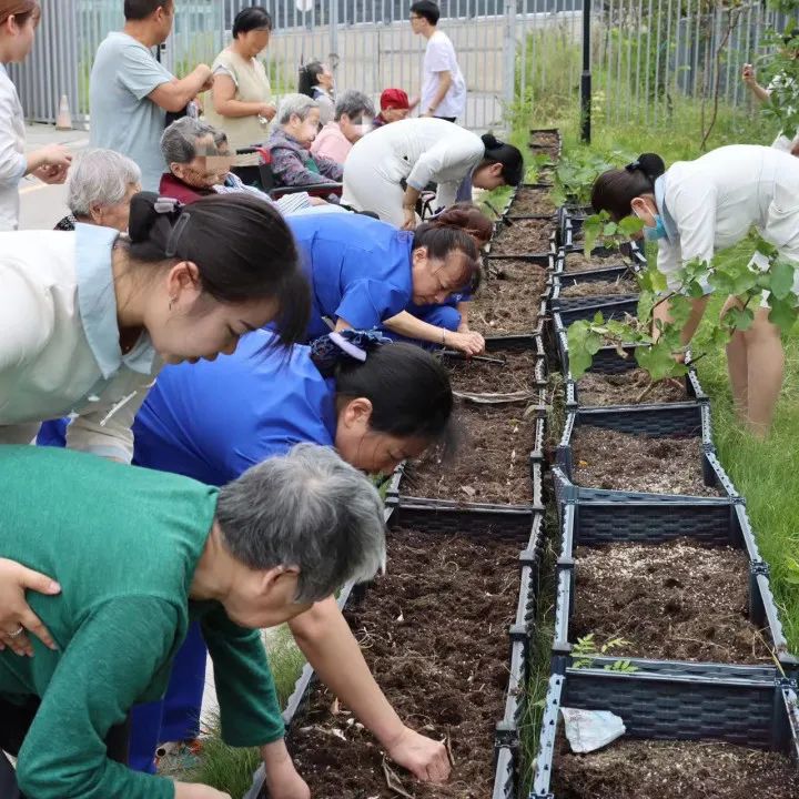 绵阳顾连康复医院患者服务部的小姐姐们带领患者及其家属在我院“希望庄园”开展“秋收播种”活动