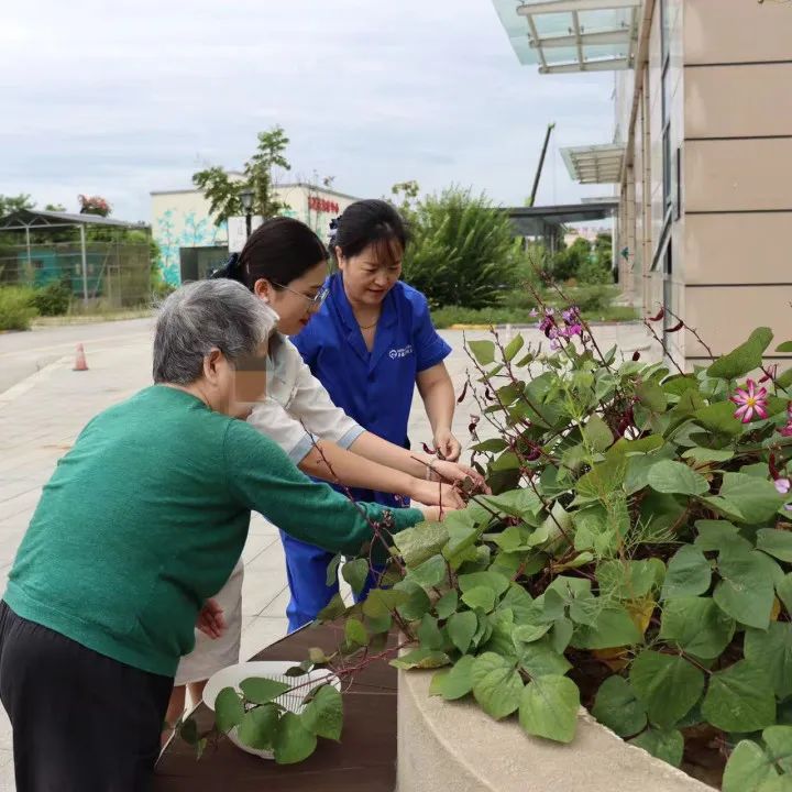 绵阳顾连康复医院患者服务部的小姐姐们带领患者及其家属在我院“希望庄园”开展“秋收播种”活动