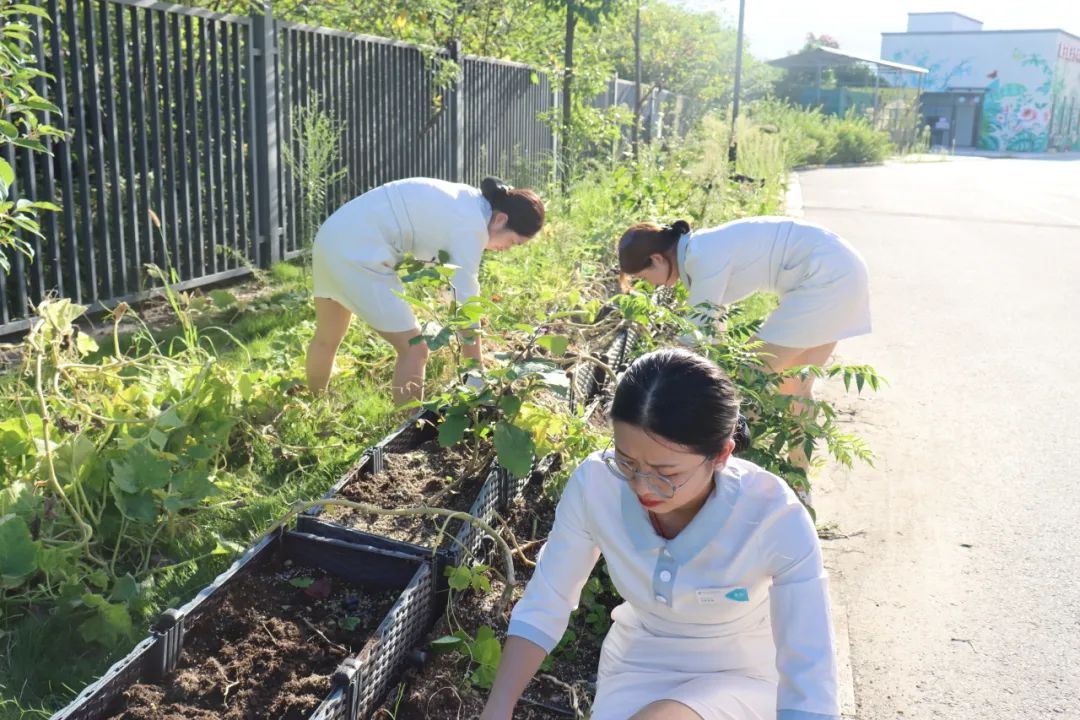 绵阳顾连康复医院患者服务部的小姐姐们带领患者及其家属在我院“希望庄园”开展“秋收播种”活动