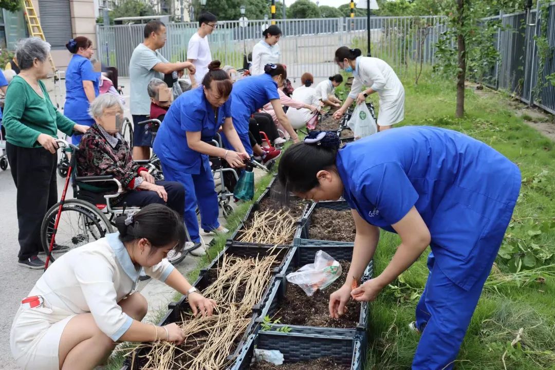 绵阳顾连康复医院患者服务部的小姐姐们带领患者及其家属在我院“希望庄园”开展“秋收播种”活动