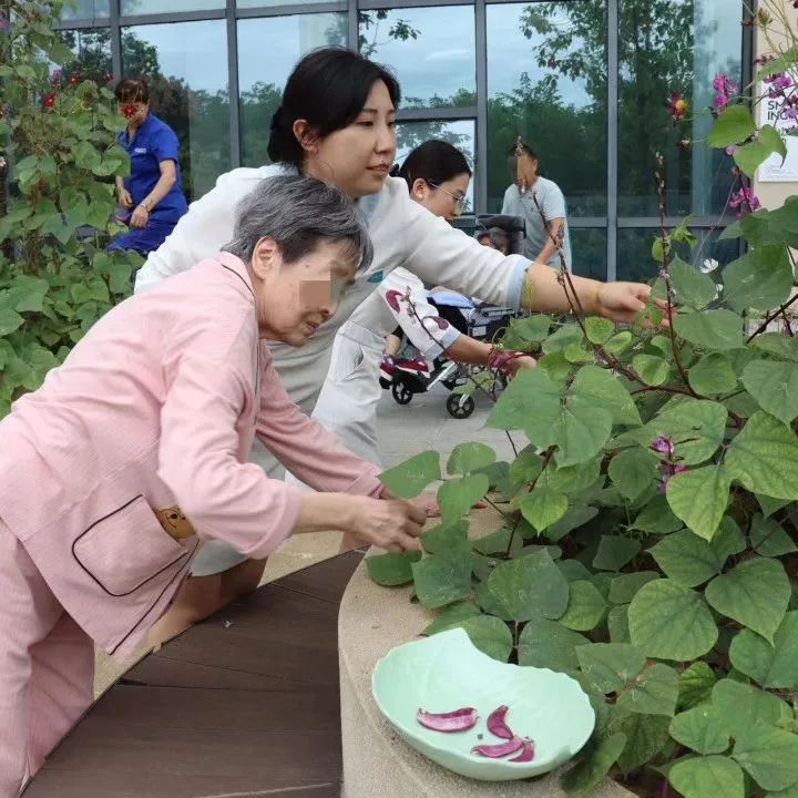 绵阳顾连康复医院患者服务部的小姐姐们带领患者及其家属在我院“希望庄园”开展“秋收播种”活动