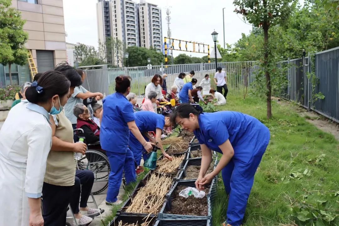 绵阳顾来拿康复医院园艺治疗活动圆满结束