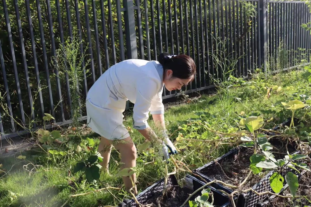 绵阳顾连康复医院患者服务部的小姐姐们带领患者及其家属在我院“希望庄园”开展“秋收播种”活动