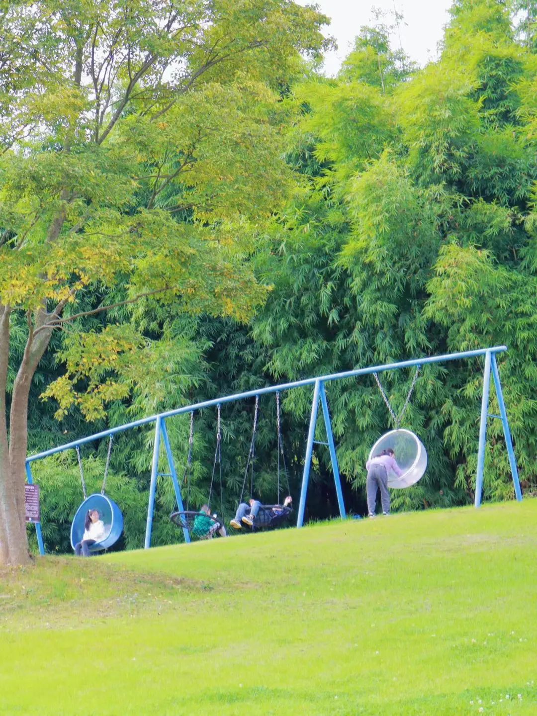 绵阳顾连医院家庭活动日之户外秋千