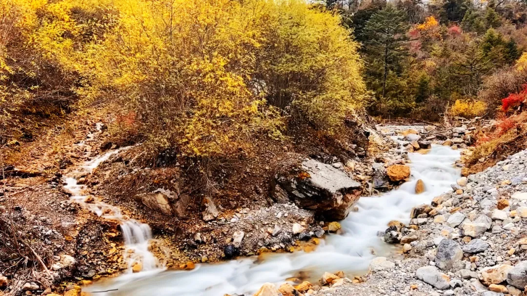 绵阳顾连康复医院Hiking Club徒步天母湖 绵阳顾连康复医院Hiking Club徒步天母湖