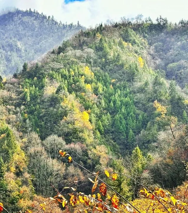 绵阳顾连康复医院Hiking Club徒步天母湖 绵阳顾连康复医院Hiking Club徒步天母湖