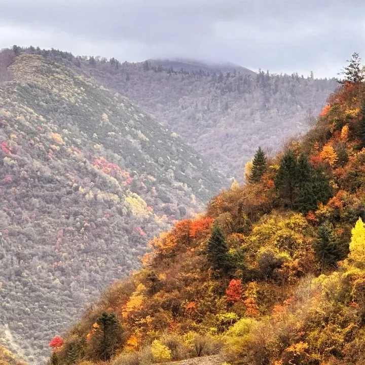 绵阳顾连康复医院Hiking Club徒步天母湖 绵阳顾连康复医院Hiking Club徒步天母湖