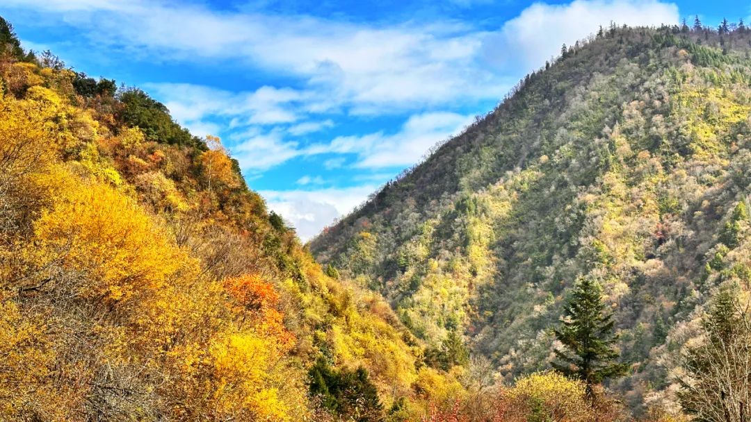 绵阳顾连康复医院Hiking Club徒步天母湖 绵阳顾连康复医院Hiking Club徒步天母湖