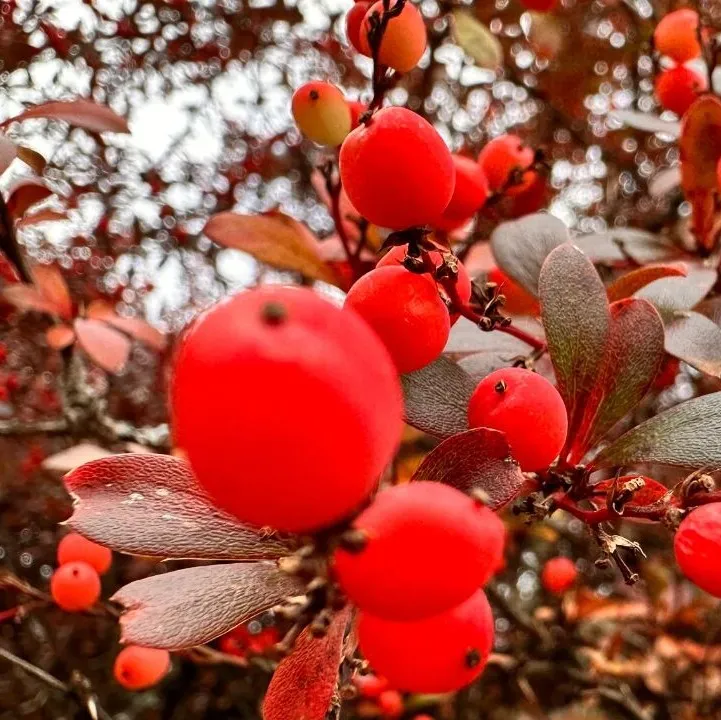 绵阳顾连康复医院Hiking Club徒步天母湖 绵阳顾连康复医院Hiking Club徒步天母湖