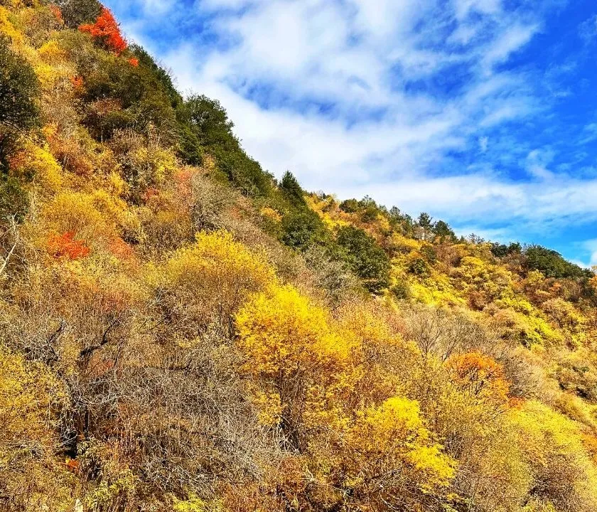 绵阳顾连康复医院Hiking Club徒步天母湖 绵阳顾连康复医院Hiking Club徒步天母湖