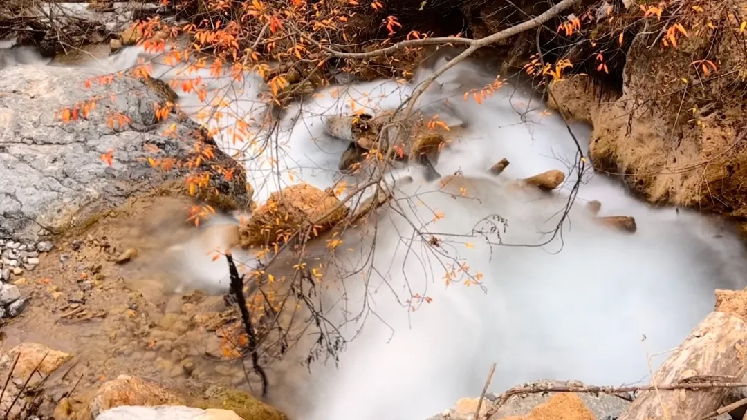 绵阳顾连康复医院Hiking Club徒步天母湖 绵阳顾连康复医院Hiking Club徒步天母湖