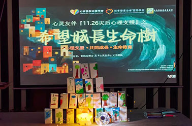 【绵阳站】以爱搭建希望城，点亮祈愿生命树——跨国行动“希望城长生命树”纪实