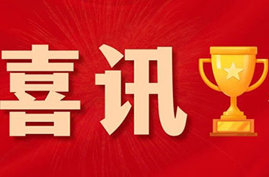 喜讯！我院康复治疗部OT组在2024年世界作业治疗日作品比赛中荣获最佳风采奖！